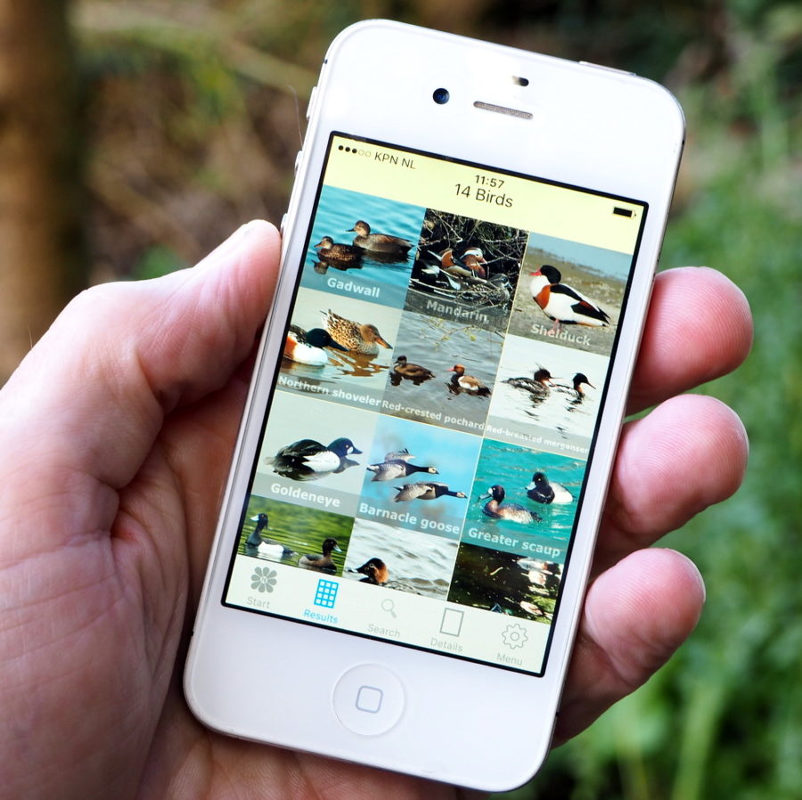 Apple App in de App Store! RikenMons blog AppleApp