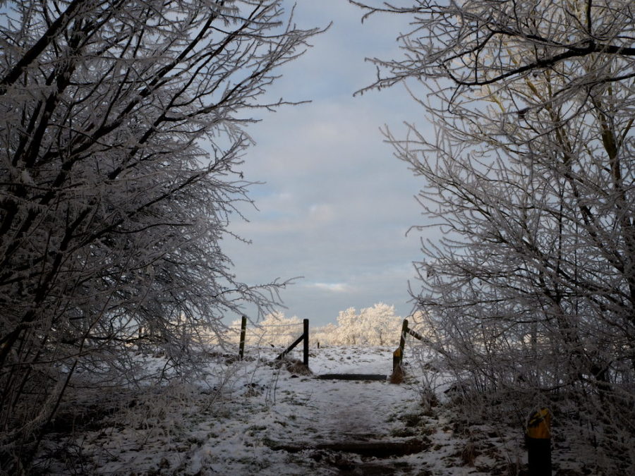 IJs en weder dienende - RikenMon