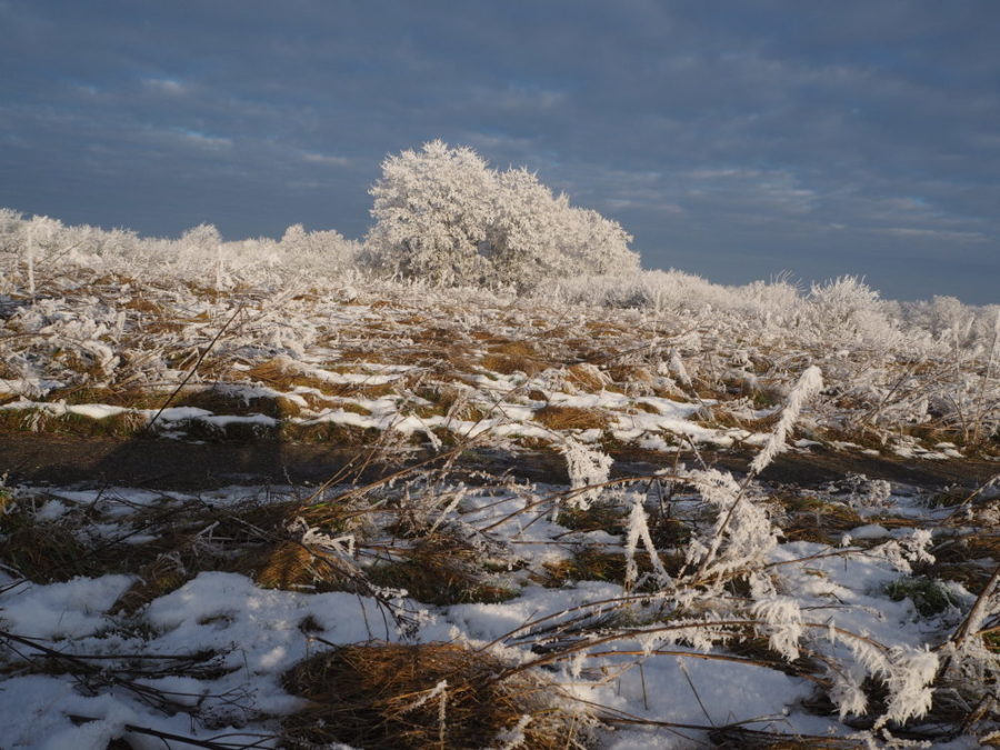 IJs en weder dienende - RikenMon