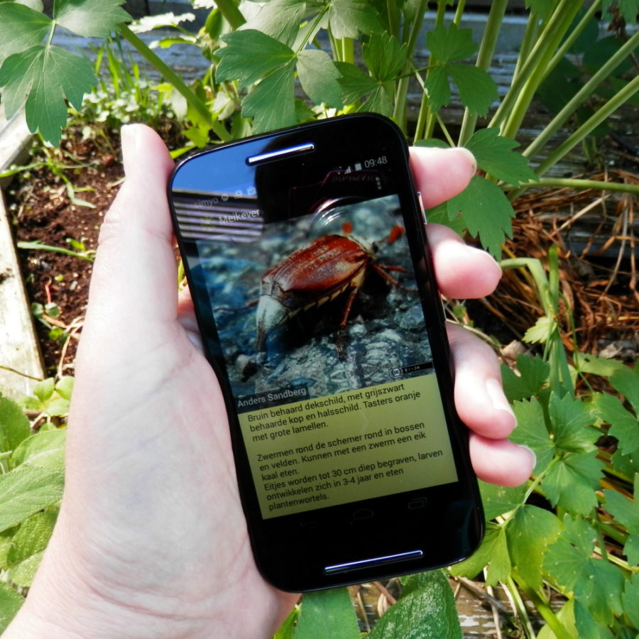 De APP is klaar! RikenMons blog android app klaar